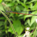 Variable Sprite