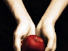 Twilightla Saga En Ingles