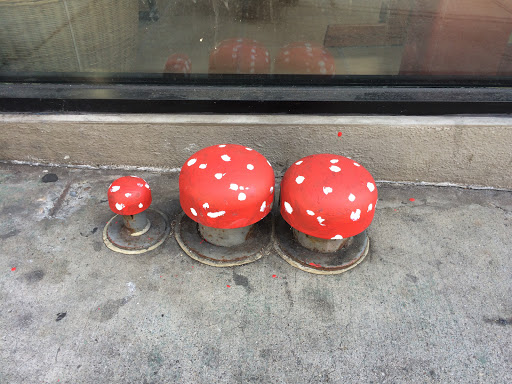 Tiny Mushrooms!