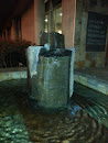 Student Health Fountain