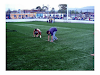Grass Cesped Sintetico