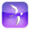 designedbyapple