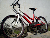 Bicicleta  Lahsen  Aro 20
