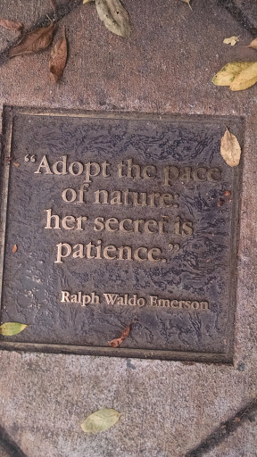 ”Adopt The Pace of Nature: Her Secret is Patience 