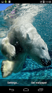 How to get Polar Bear Live Wallpaper 1.0 unlimited apk for laptop