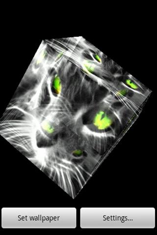 3D cat 009