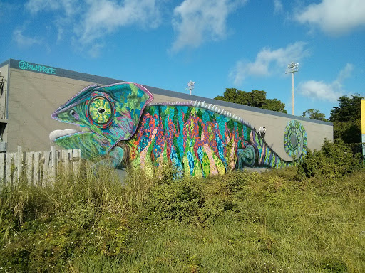 Chameleon Mural