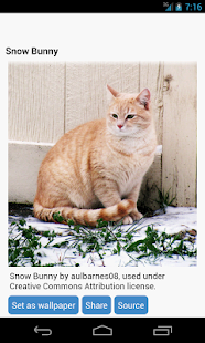 How to install Cat Wallpapers patch 1.2 apk for laptop