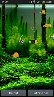 How to install Aquarium Live Wallpaper 1.0 mod apk for pc