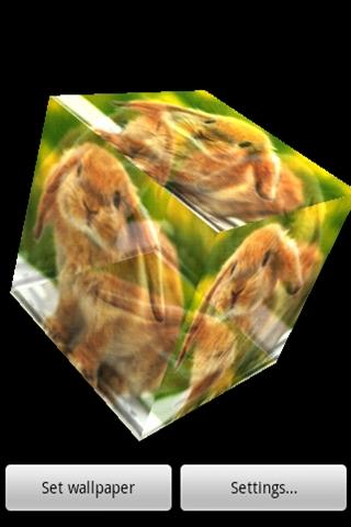 3D cute rabbit 1