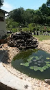 Bonsai Fountain