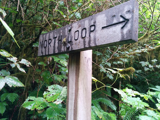 North Loop Trail