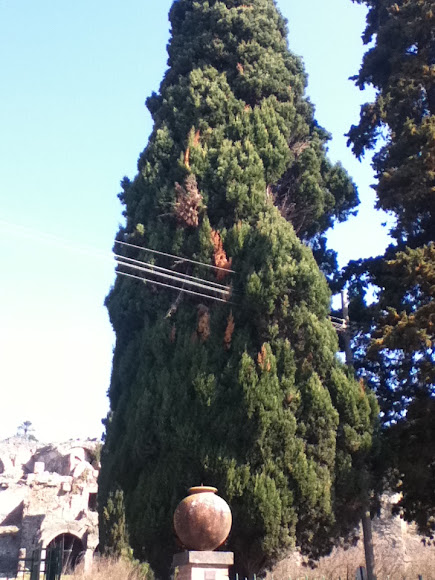 Spotting Image 1