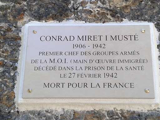 Conrad Miret I Muste