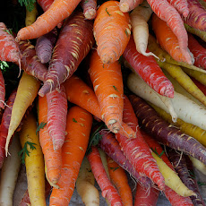 Algerian Carrot Slaw