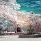 IMG_0266edited3.jpg