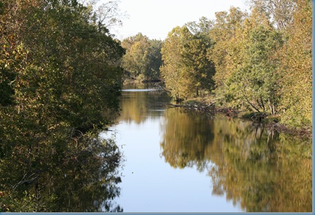 Bayou 001