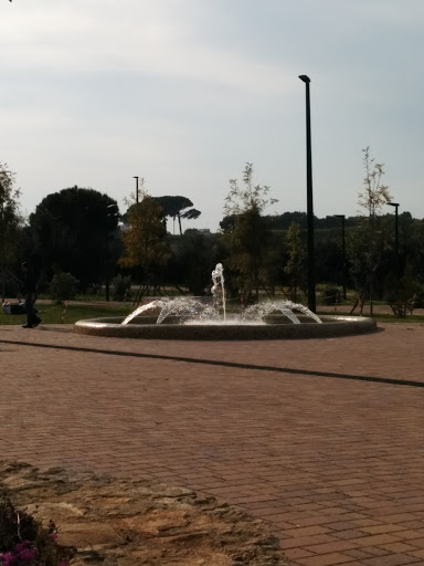 Parco Del Cillarese