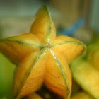 star fruit