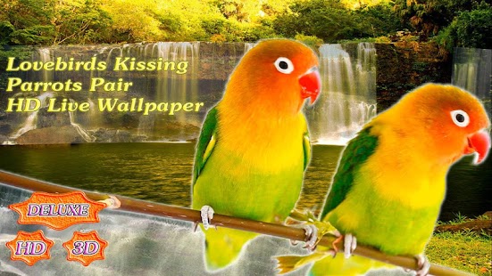How to mod Lovebirds Kissing Parrots Pair lastet apk for bluestacks