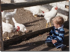 Wheeler Farms 014