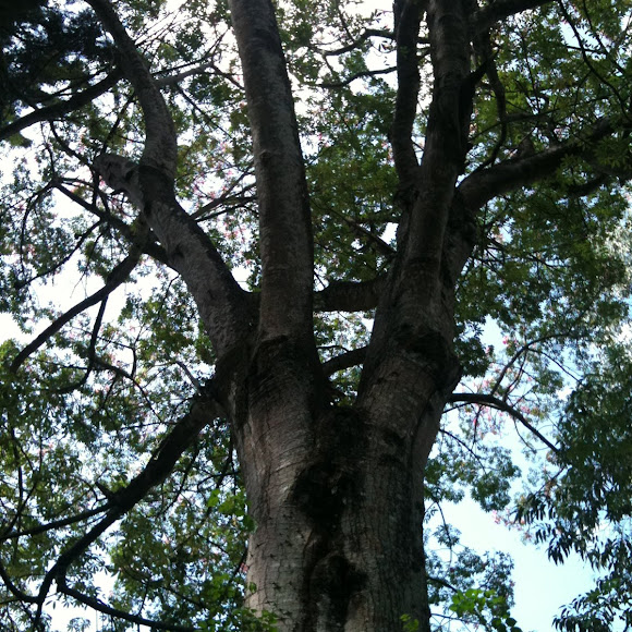 Spotting Image 1