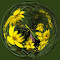 DSCF7439.jpg