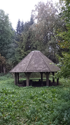 Hexagon Forest Shelter 