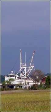 [shrimpboat[3].jpg]