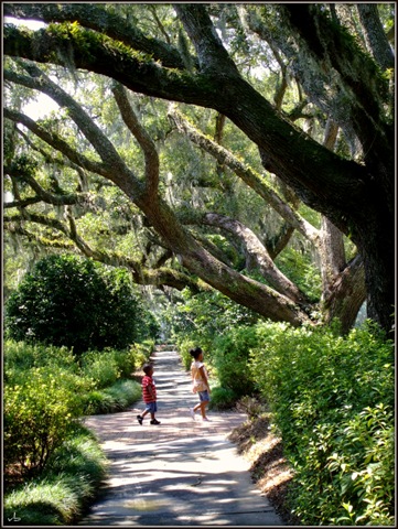 [DSCF5757_500[3].jpg]