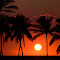 hawaii sunset pixoto.jpg