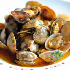 Clams in Tomato