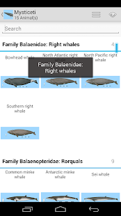 How to install Dolphins & Whales Sightings 1.0.0 mod apk for bluestacks