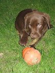 pic 072.jpg