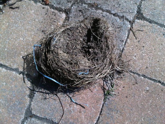 Spotting Image 1