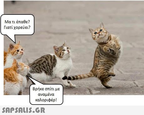 Μα τι έπαθε? Γιατί χορεύει? Βρήκε σπίτι με αναμενα καλοριφέρ ! 