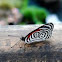 88 Butterfly