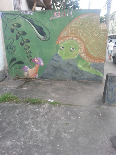 Grafite Tartaruga