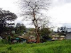 Vendo Lote San Ramon De Tres Rios Cerca De Sabani