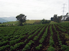 Terreno Hda El Belendescripcion ¡Hermoso Terr
