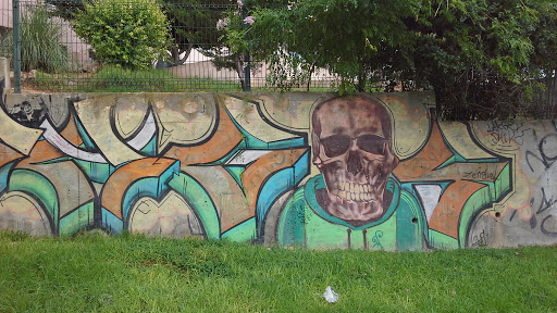 Street Art Skull