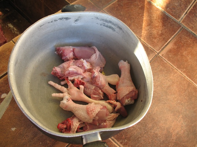 [KillingaChicken0452.jpg]