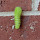 Caterpillars and larvae of the Southwestern United States