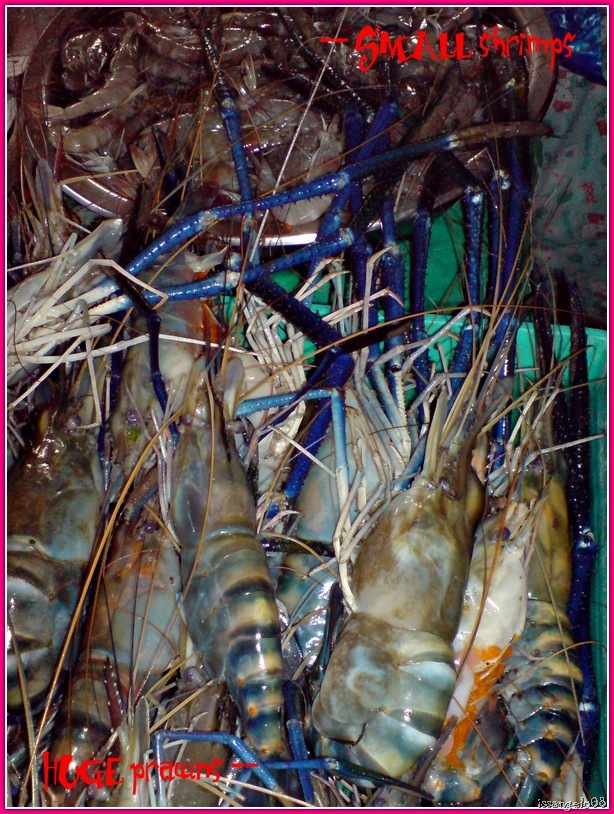 [salcedomarketfoodpic0710.jpg]