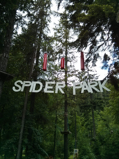 Spider Park