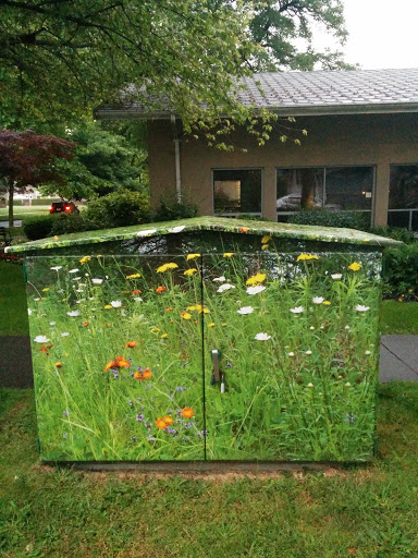 Flowery Box Art