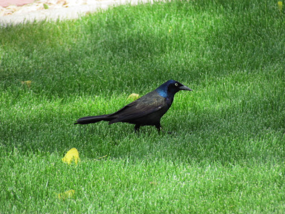 Spotting Image 1