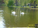 S7000234.JPG