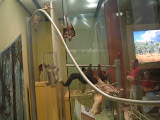 IMG_0259.JPG