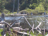 IMG_1447.JPG